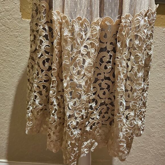 Ryu L Lace Mesh Dress Tan Cream Romantic Boho Cottagecore Vintage Fit Flare - Picture 8 of 16